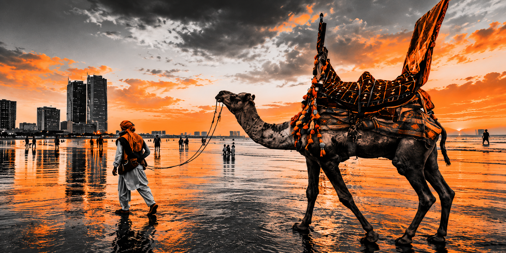 camel on karachi beach in evening